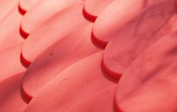 Lower Durston plastic roof costs